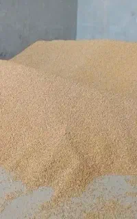 نیازمند خاور ۶ تن بار ذرت