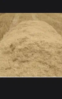 کاه