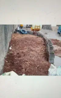 کود حیوانی مجانی