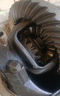 دیفرانسیل نیسان (کله گاوی