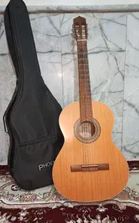 گیتار پارسی m5