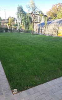 اجرا وطراحی و نگهداری فضای سبز