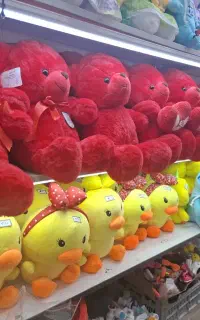 فروشنده خانم مجرد ومجرب وآشنا با کارت خوان