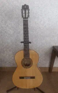 گیتار الحمبرا 3f