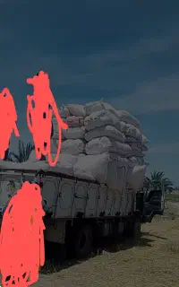 فروشنده عمده کاه سفید با یونجه بسته بندی شده