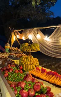 تور طبیعت گردی نیم روزه سشنبه شب