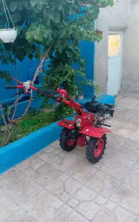 تیلر