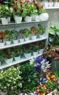 ویترین و ام دی اف طبقه