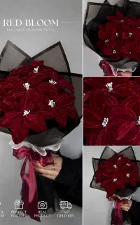 گل زرشکی مخملی تخفیف ویژه