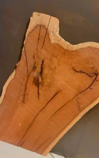 چوب گردو  عناب سرو  گلابی و..