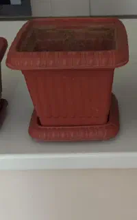گلدان