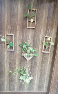 خدمات پرستاری و نظافت سحر آذرخش