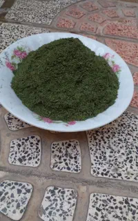 شوید امسال با عطر و بوی خوب به شرط