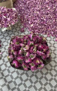 گل محمدی