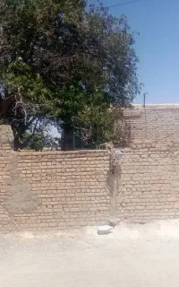 خانه روستایی