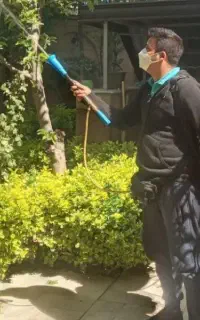 سمپاشی باغبانی  سم پاش هرس کاری