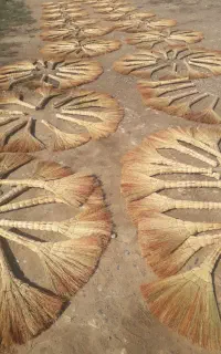 تولیدی جارو سنتی