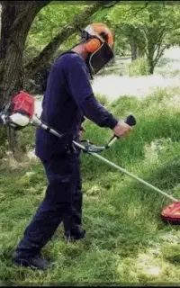 علف زنی وسم پاشی باغات