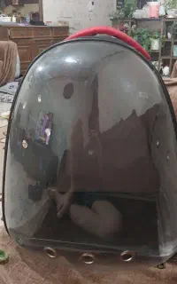 قفس کیف پرنده