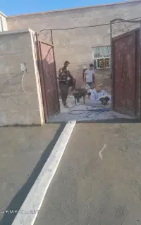 استاد بنا و معمار