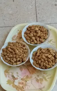 توت خشک مرغوب و تازه