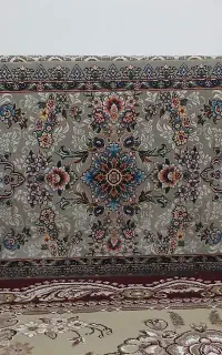 ی جفت پشتی