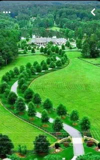 نیازمند باغبان