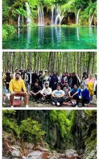 تور یک روزه اقتصادی به زیباترین جنگل مازندران