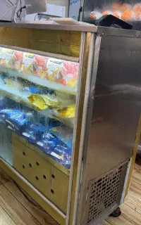 فلیزر طرف نما