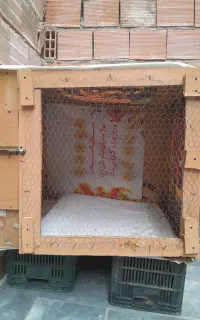 قفس پرنده
