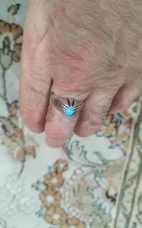 دوعدد فیروزه