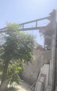 جرثقیل پروانه ای