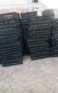 سبد انگور 5 کیلیویی مشکی و آبی