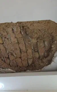 گچکاری افسریه پیروزی خاوران کیانشهر تمام تهران