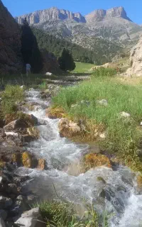 طبیعت گردی