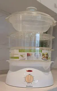 بخار پز