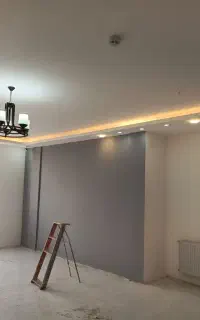 برقکاری ودوبین دزدگیر