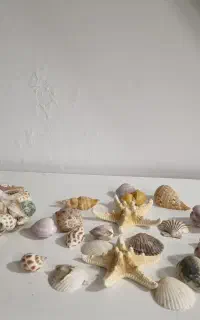 ست گیاهان دریایی طبیعی