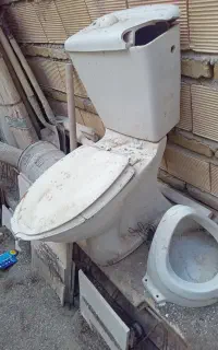 تولت فرنگی