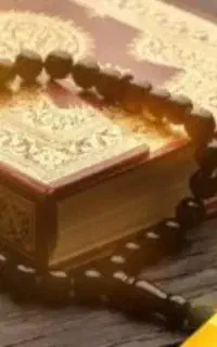 مجموعه کامل د.عا