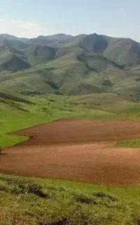 شخم زمین با تراکتور جفت