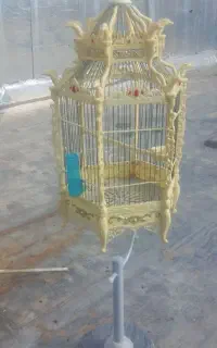 قفسه