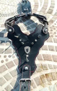 قلاده سگ