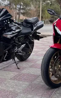 موتور بیکینگ