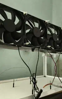 پایه ریگ