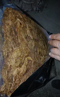 تنباکو تند تیز صادراتی