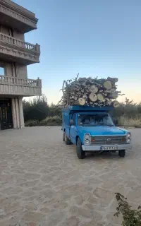 خرید انواع چوب در باغات