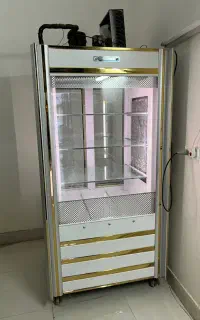 یخچال ویترینی
