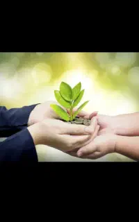 راهنمایی سرمایه از ما کار و ایده از شما