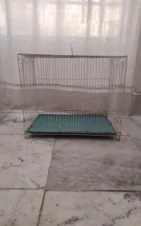 قفس قناری و یک عدد آبدون